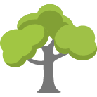 Surprise Tree Removal Service