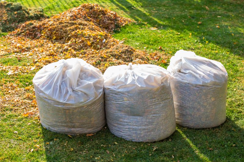 Disposal of Collected Leaves
