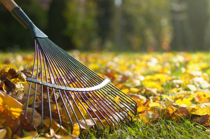 Leaf Raking and Collection