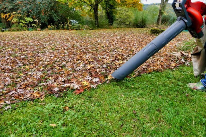 Leaf Blowing Techniques