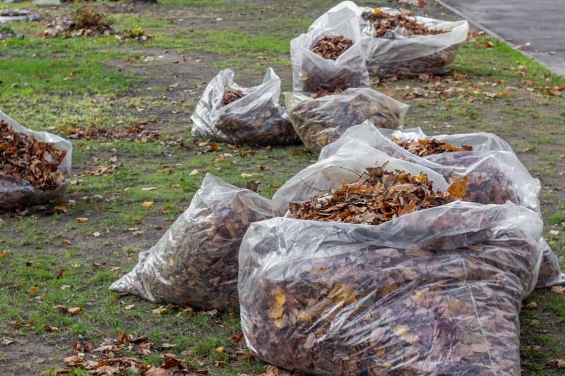 Leaf Disposal Methods
