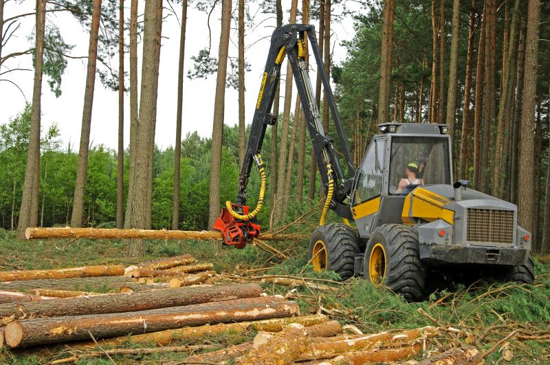 Heavy Lifting Equipment in Use