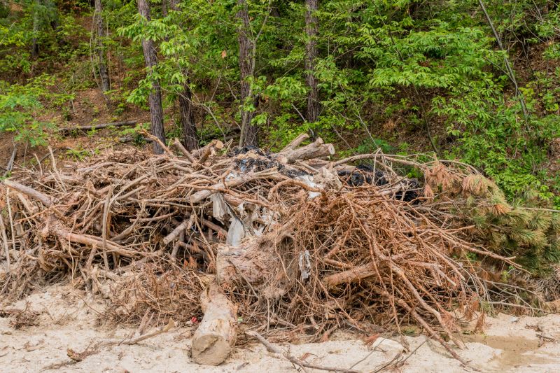 Site Cleanup
