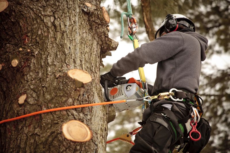 Expert Equipment and Safety Gear