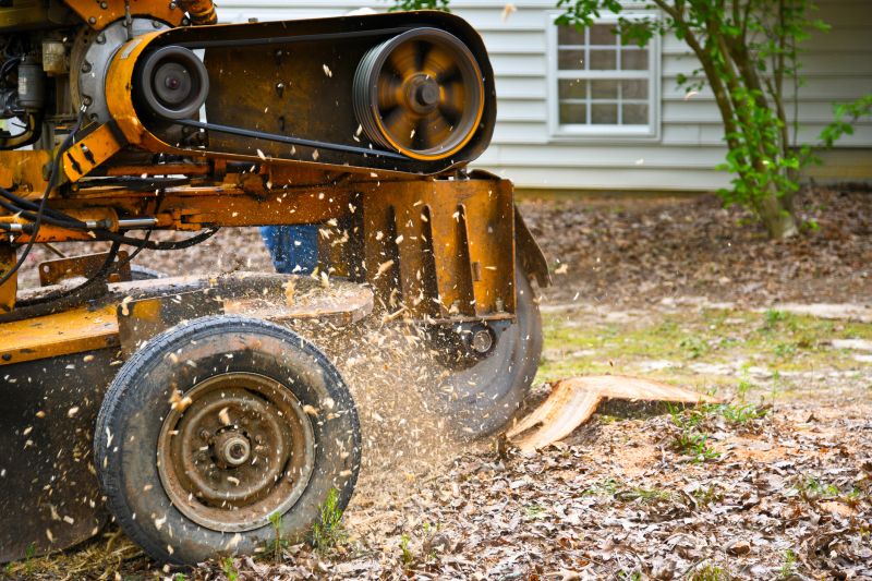Cleanup and Stump Grinding Services